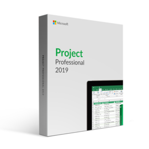 Licenta Microsoft Project Professional 2019