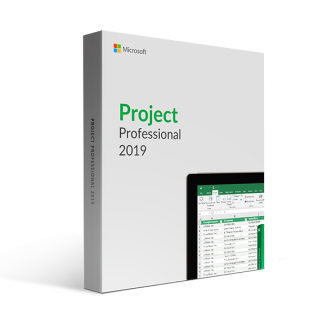 Licenta Microsoft Project Professional 2019