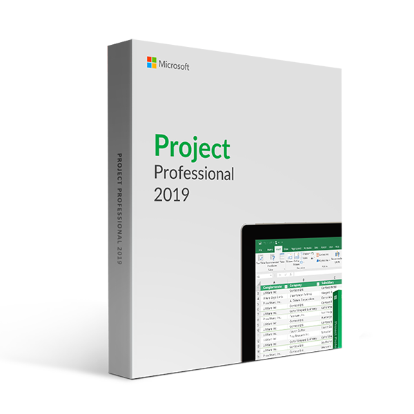 Licenta Microsoft Project Professional 2019