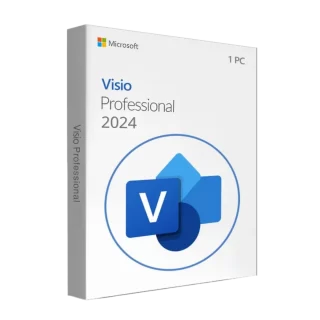 Licenta Microsoft Visio Professional 2024